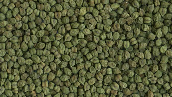 Chana Green 250g
